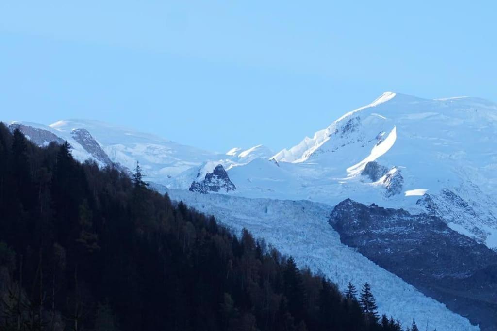 Appartement La Suite Mont-Blanc シャモニー エクステリア 写真